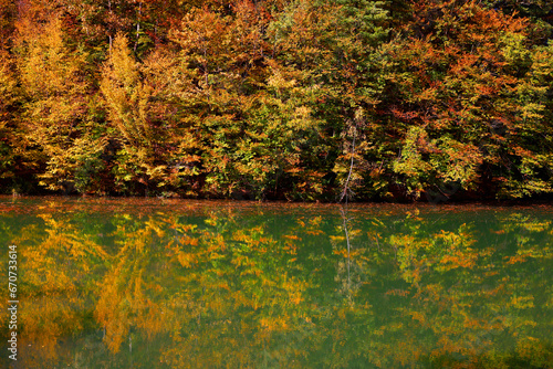 Vida Dam Lake in in autumn colours  Transylvanian Alps  Romania  Europe