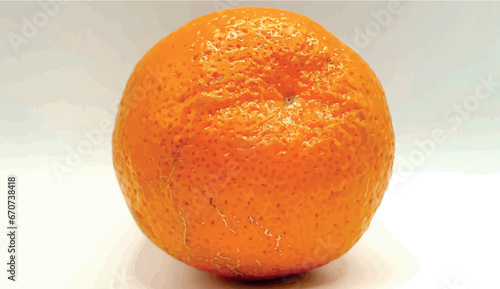 One tangerine vector. Ripe tangerine vector isolated close up. Citrus tangerine on a white background. Cellulite and stretch marks on the skin. Texture of tangerine peel. Ripe citruses and fruits. 