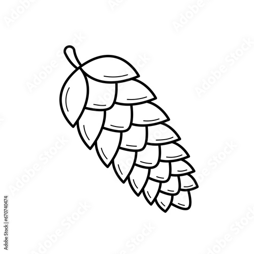 Fir cone. Hand drawn sketch icon of botanical element. Isolated vector illustration in doodle line style.