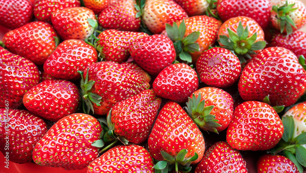 Bunch of red strawberries, sweet fruit closeup,