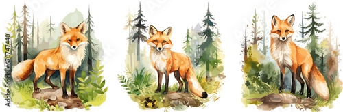 Watercolor drawing fox in forest. Red foxes in habitat on nature. Wild animals graphic art design, vector decorative animalistic illustration © LadadikArt