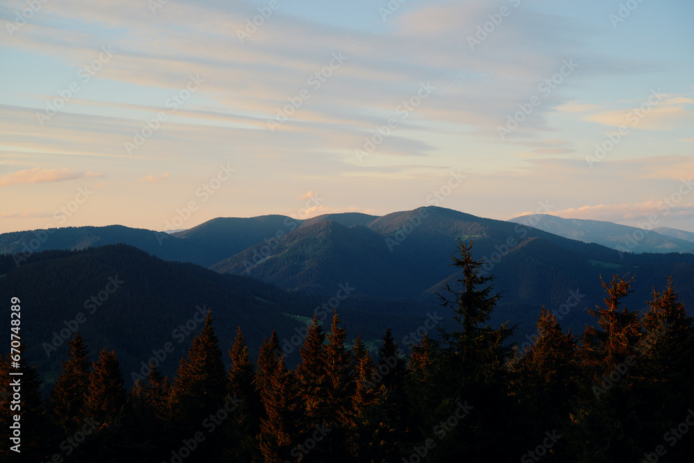 Beautiful mountains landscape with pine forest. Carpathians, Ukraine.