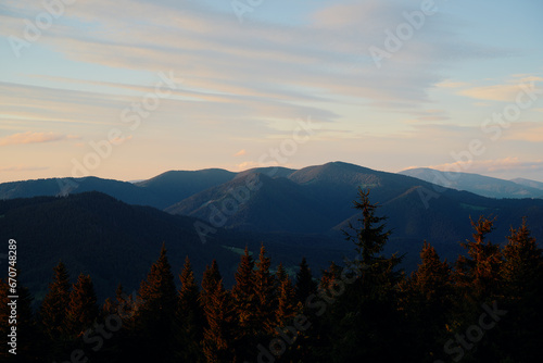Beautiful mountains landscape with pine forest. Carpathians, Ukraine.