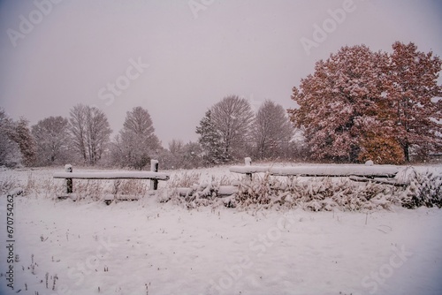 snow covered trees with wooden fence