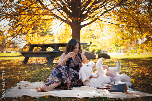 Woman playing with dog, outdoor in the fall  photo