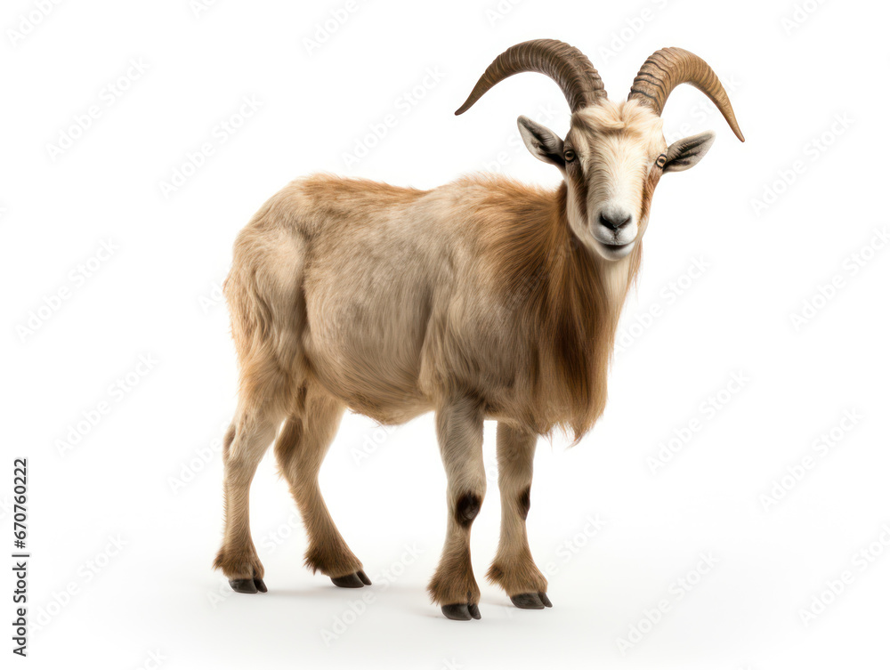 Obraz premium Ibex Studio Shot Isolated on Clear Black Background, Generative AI