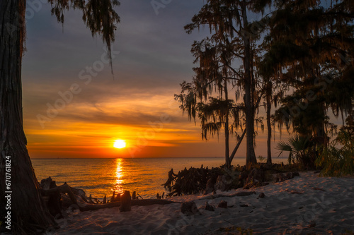 Sunset through the Lousiana Cypress Trees