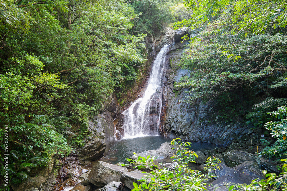 夏の比地大滝 夏の比地大滝