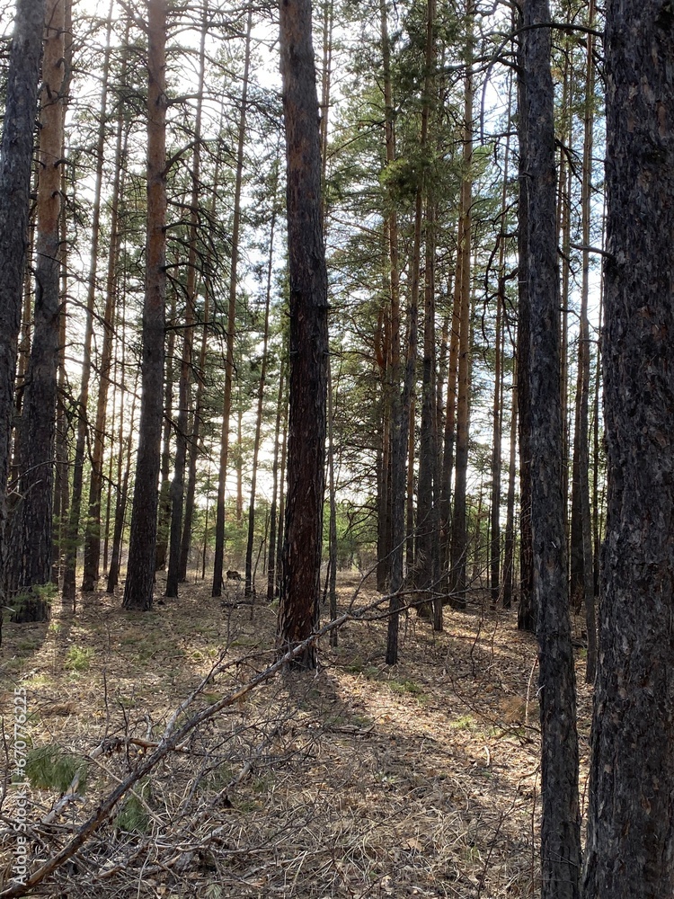 Obraz premium Kazakhstan