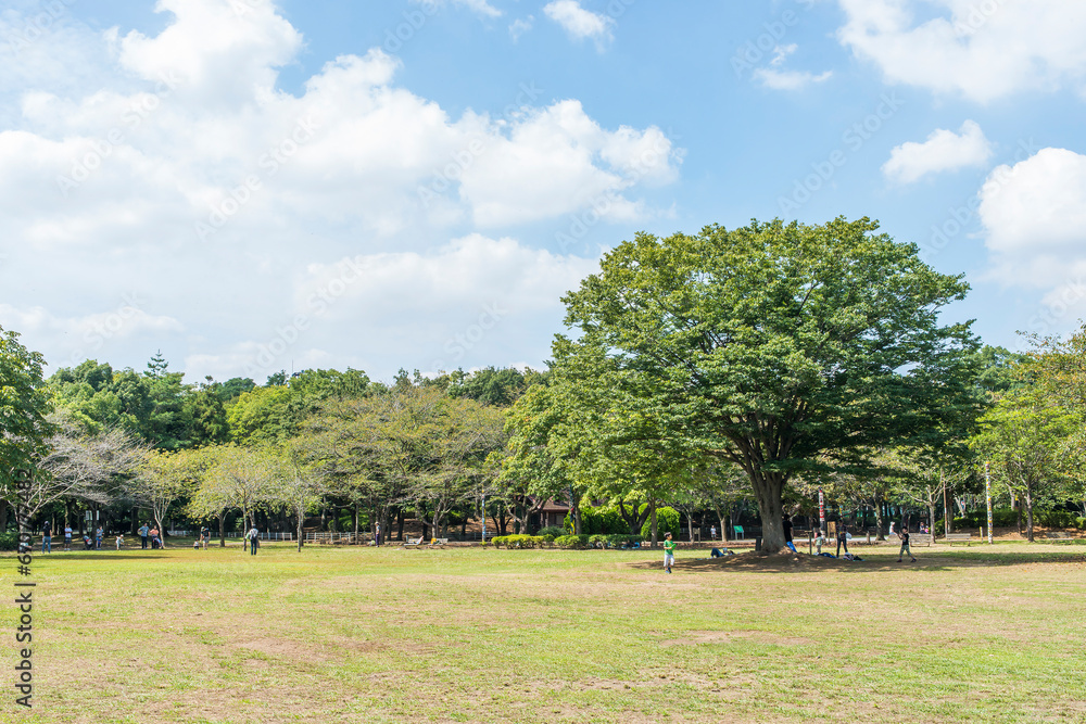 Naklejka premium 流山総合運動公園