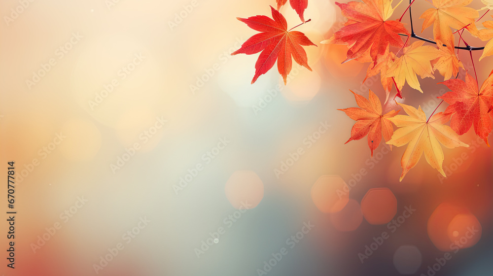 web banner design for autumn season and end year activity with red and yellow maple leaves with soft focus light and bokeh background web banner design for autumn season and end year activity with red and yellow maple leaves with soft focus light and bokeh background