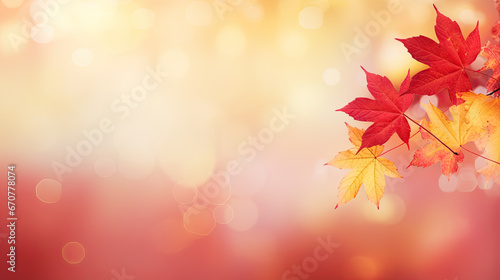 web banner design for autumn season and end year activity with red and yellow maple leaves with soft focus light and bokeh background © Ziyan