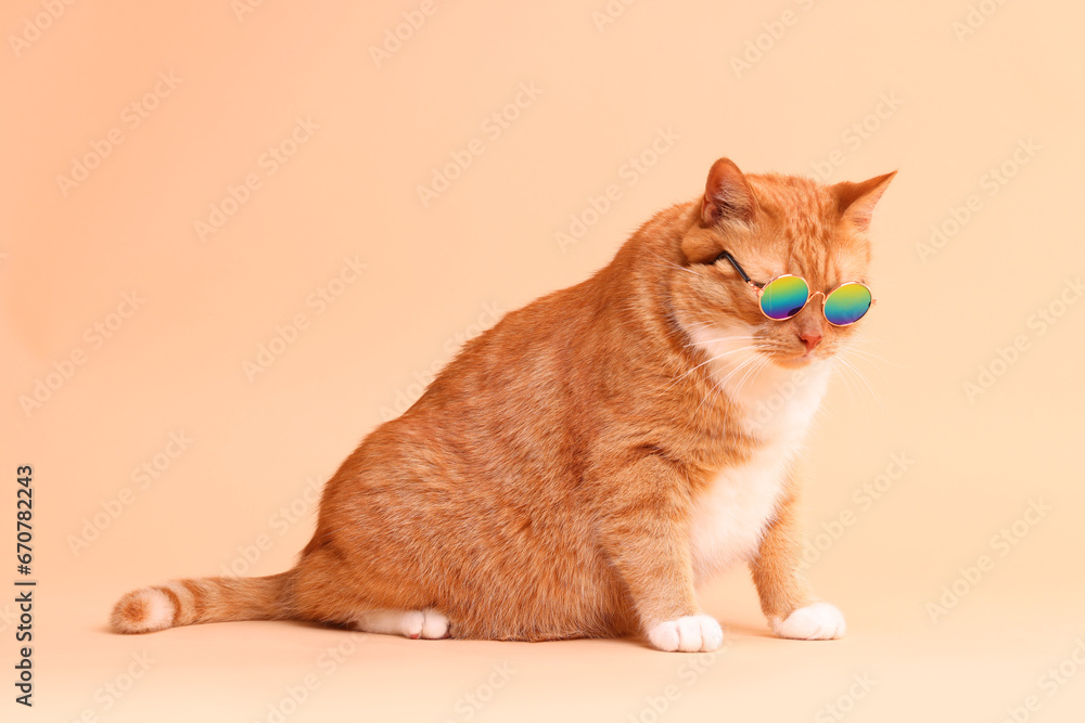 Cute ginger cat in stylish sunglasses on beige background