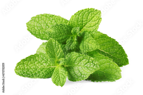 Fresh green mint leaves isolated on white