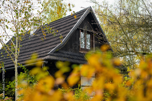 Rural wooden house with garden in autumn season, yellow leaves