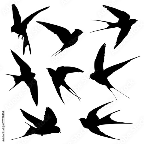 Collection of swallow bird silhouettes isolated on white background