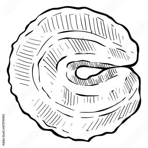biscuits handdrawn illustration 