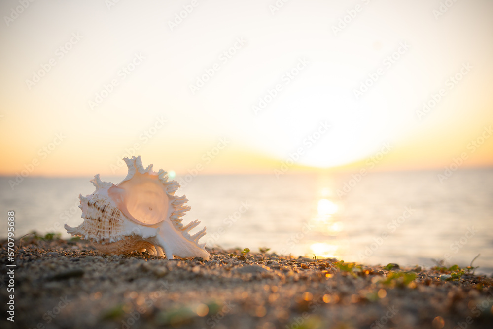 夕日と砂浜の貝殻 夕日と砂浜の貝殻