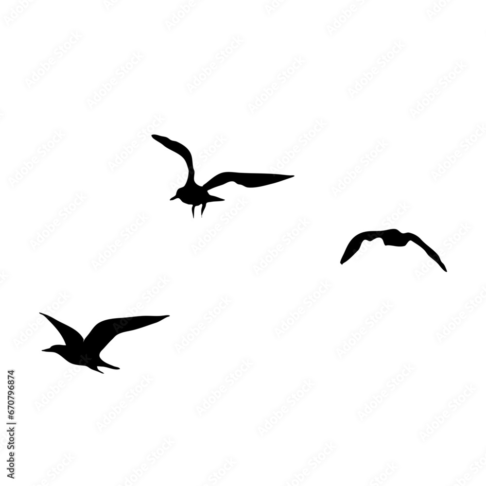 Obraz premium Flying bird silhouette