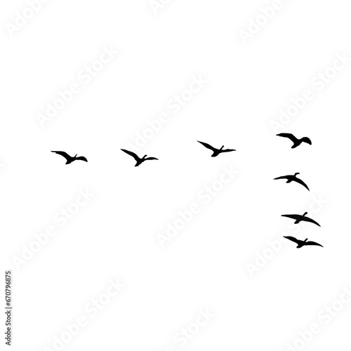 Flying bird silhouette