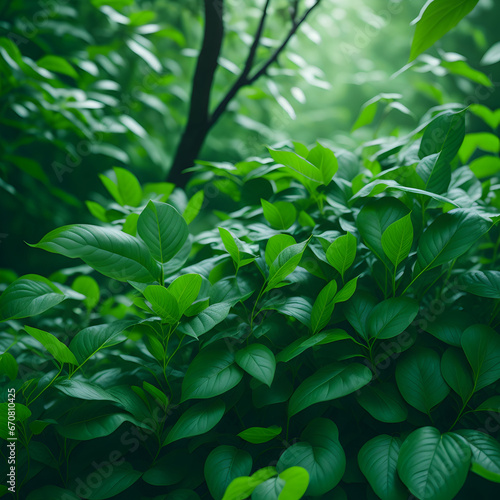 a lush green forest filled with lots of leaves 