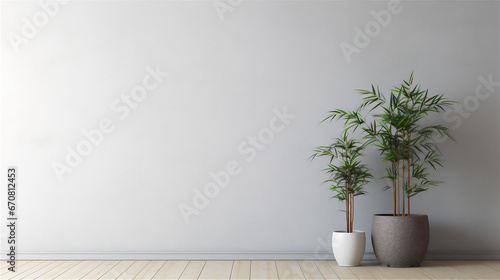 plain wall interior with bamboo plant in pot on the edge of the wall