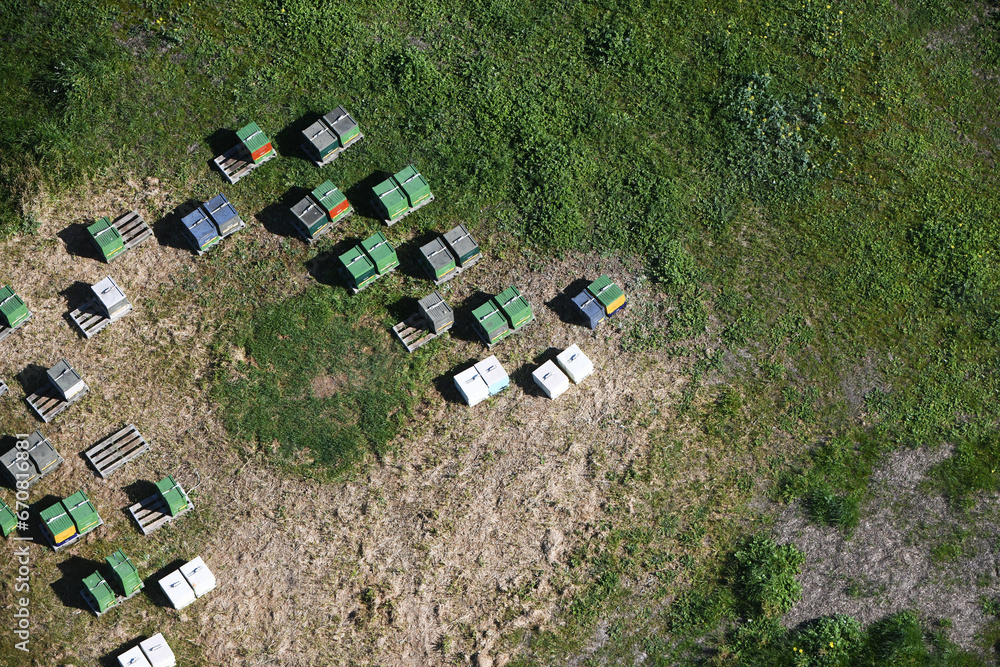 Aerial Perspective of Beehives and Beekeeping Activities Aerial Perspective of Beehives and Beekeeping Activities