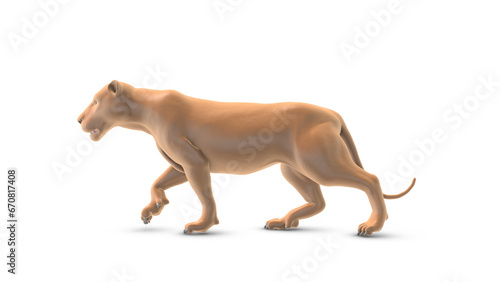 Animated lion walking on a white background