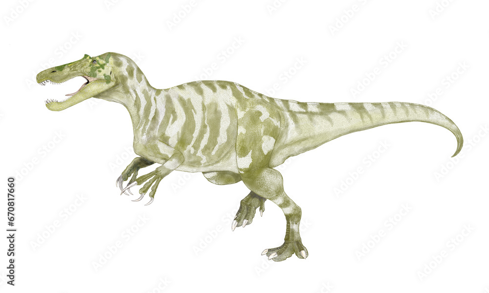 ケラトスコプス 2012年に新たに新属新種として認められたスピノサウルス科バリオニクス亜科の肉食恐竜 ケラトスコプス 2012年に新たに新属新種として認められたスピノサウルス科バリオニクス亜科の肉食恐竜