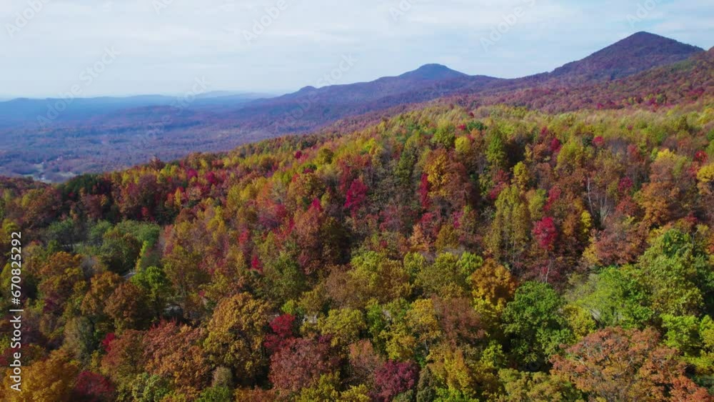 Wide landscape aerial drone panorama shot of autumn leaves in the mountains changing colors to orange, red, yellow. Wide landscape aerial drone panorama shot of autumn leaves in the mountains changing colors to orange, red, yellow.