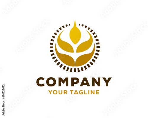 abstract circle wheat logo icon symbol design template illustration inspiration