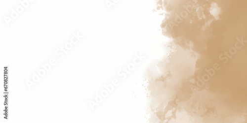 Brown particles splattered on white background. Freeze motion of brown dust explosion. Stopping the movement of brown powder. Explosive brown powder on white background.


