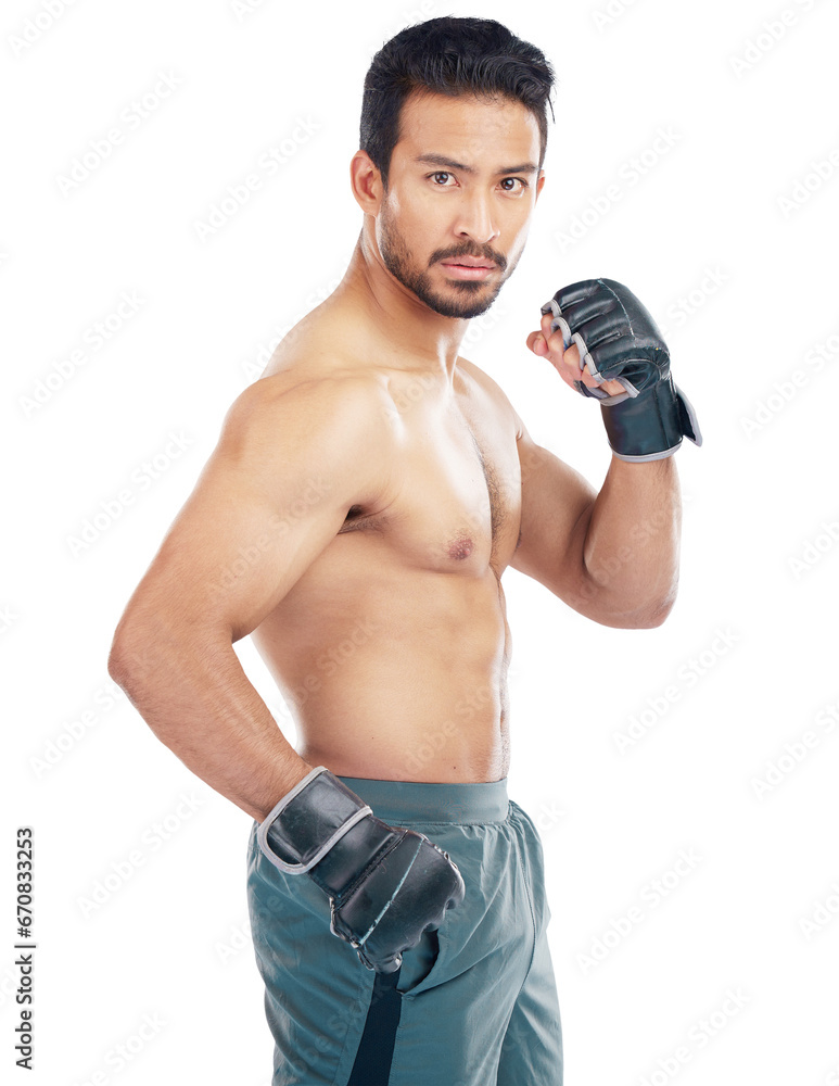 Man, workout portrait and boxing or MMA, martial arts and body training isolated on transparent png background. Fight, focus and fist of athlete, sports model or asian person, gym fitness or exercise Man, workout portrait and boxing or MMA, martial arts and body training isolated on transparent png background. Fight, focus and fist of athlete, sports model or asian person, gym fitness or exercise