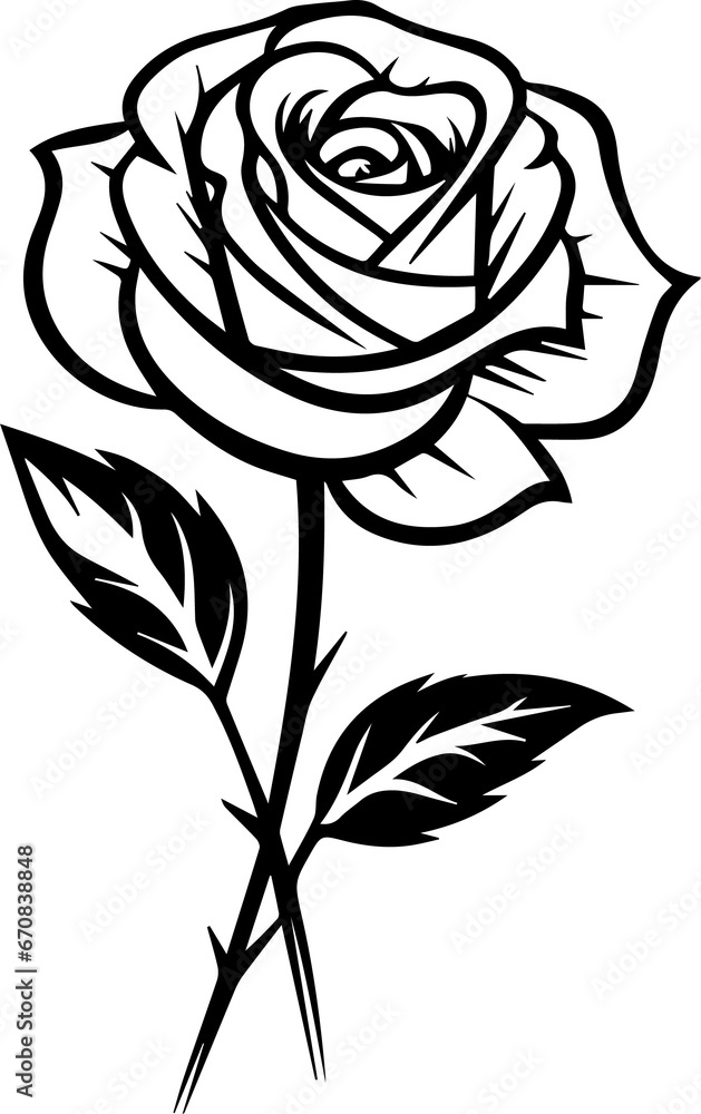 Beautiful Black Rose Beautiful Black Rose
