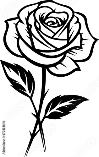 Beautiful Black Rose 