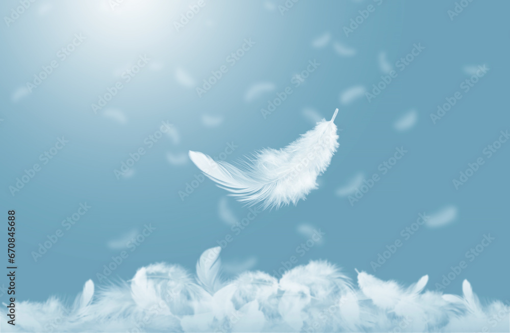 Abstract White Bird Feathers Falling in A Blue Sky. Softness of Floating Feathers. Abstract White Bird Feathers Falling in A Blue Sky. Softness of Floating Feathers.