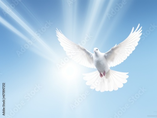 A white dove against a blue sky. A symbol of peace, hope, purity, innocence, reconciliation and love.