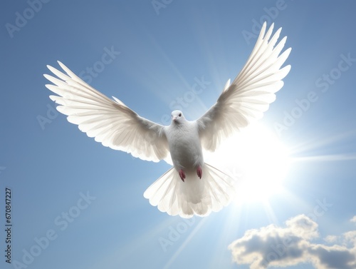 A white dove against a blue sky. A symbol of peace  hope  purity  innocence  reconciliation and love.