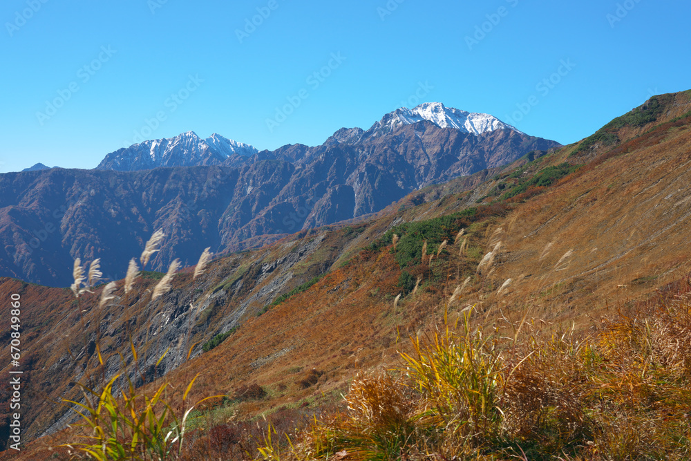 五竜岳と鹿島槍ヶ岳を望む八方尾根の紅葉