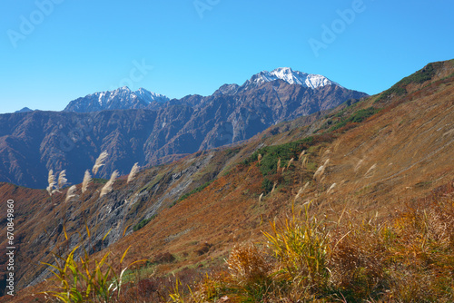 五竜岳と鹿島槍ヶ岳を望む八方尾根の紅葉