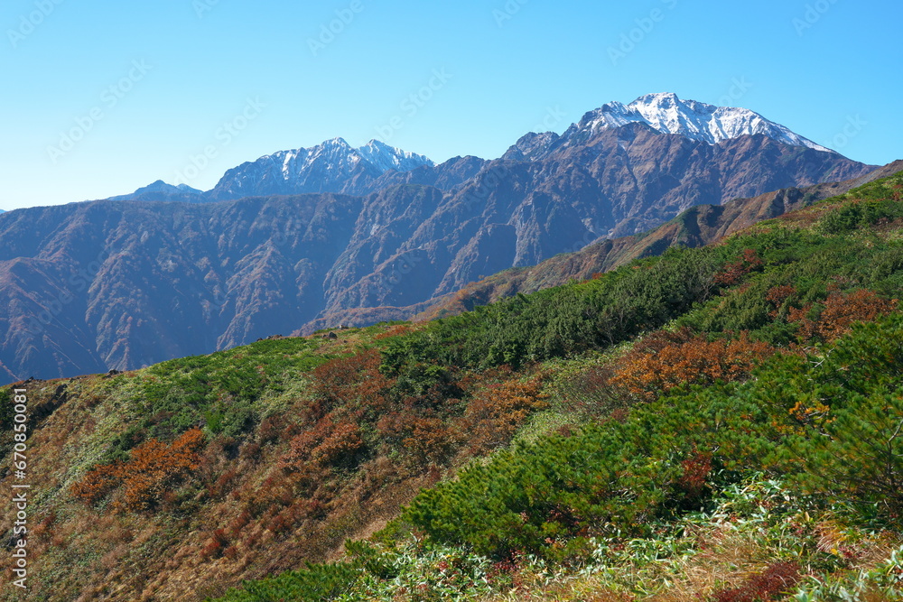 Fototapeta premium 爺ヶ岳、鹿島槍ヶ岳、五竜岳を望む八方尾根の紅葉