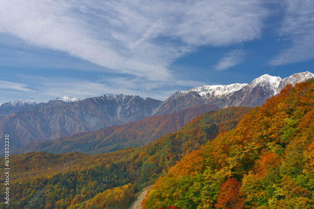 白馬連峰と鹿島槍ヶ岳を望む栂池高原の三段紅葉