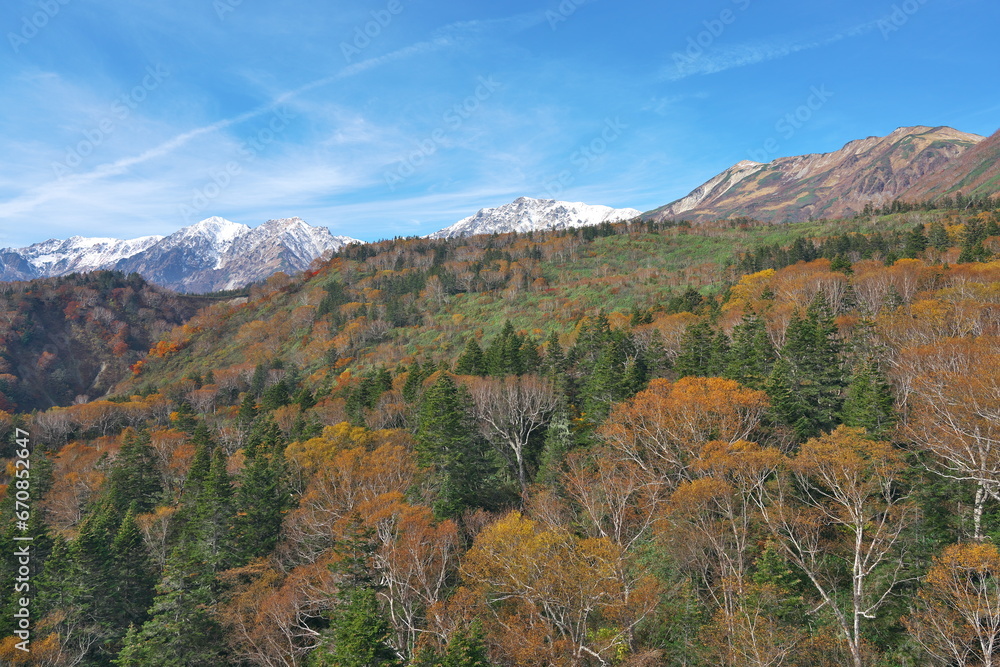 白馬三山と小蓮華山を望む栂池高原の秋の三段紅葉