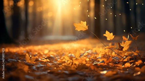 Beautiful autumn background with leaves in the ground and sun rays. Autumn leaves on the ground in the park.