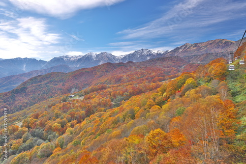 白馬連峰を望む栂池高原の秋の三段紅葉