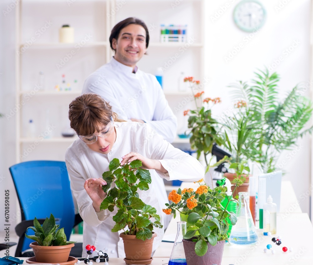 Two young botanist working in the lab