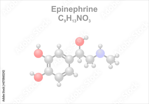 Simplified scheme of the epinephrine molecule. Use as vasoconstrictor in dentistry.