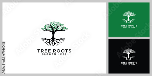 tree and root vector design template