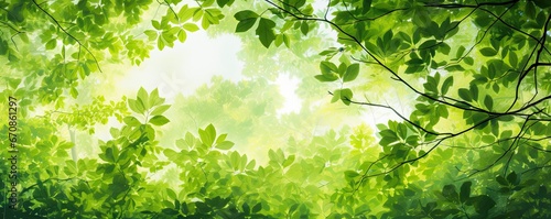 Sunlit canopy. Bright summer day in lush green forest. Nature radiance. Sunlight filtering through verdant summer trees. Sunny woodlands. Fresh foliage in bright landscape