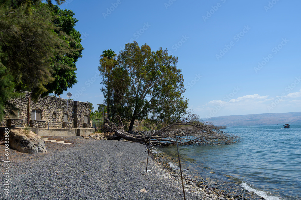 Fototapeta premium Capharnaum, The Town of Jesus, Israel, Middle East